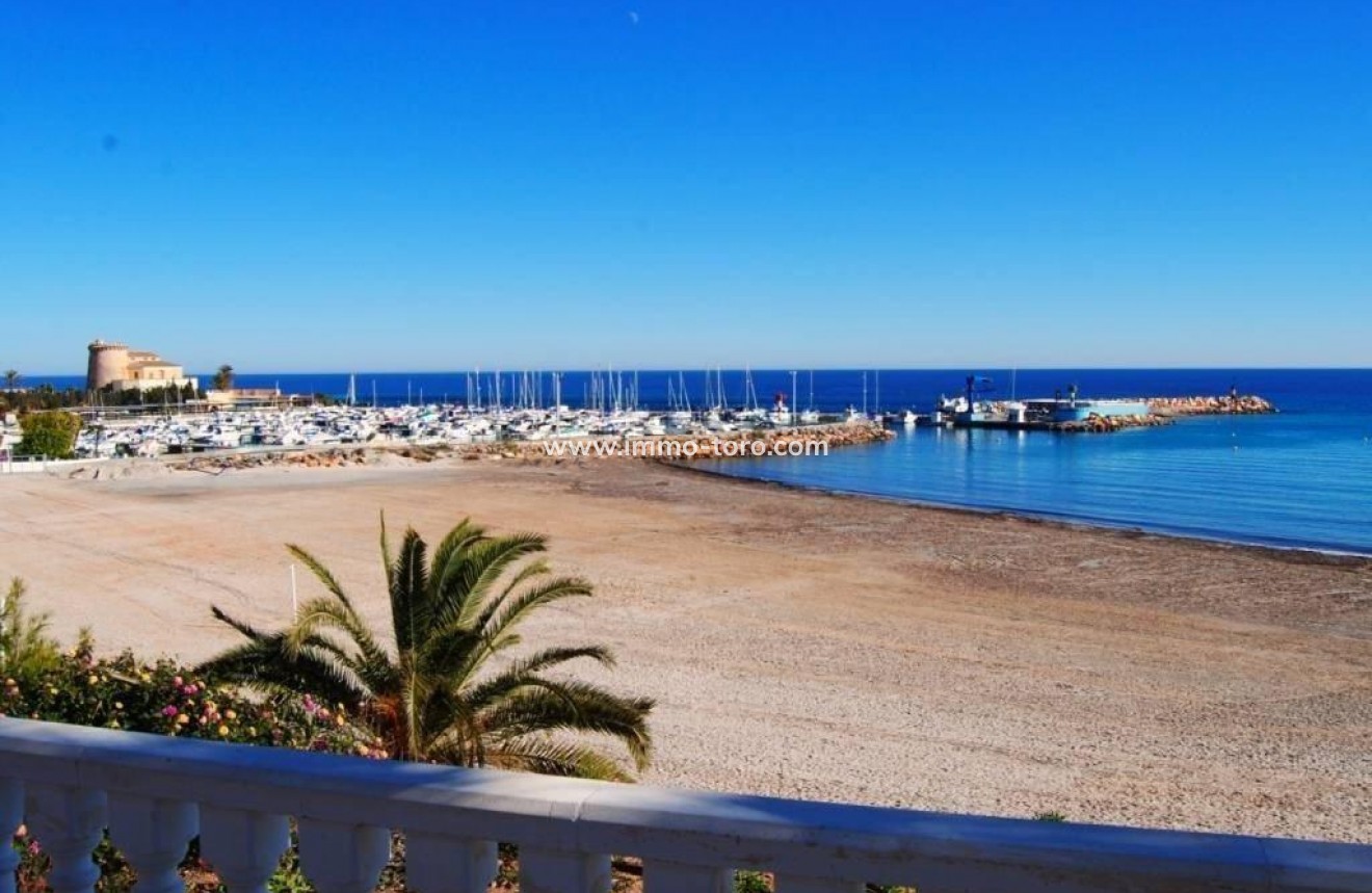 Nueva construcción  - Villa / Chalet - Pilar de la Horadada - Pilar De La Horadada