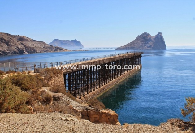 New Build - Apartment - Aguilas - Isla Del Fraile