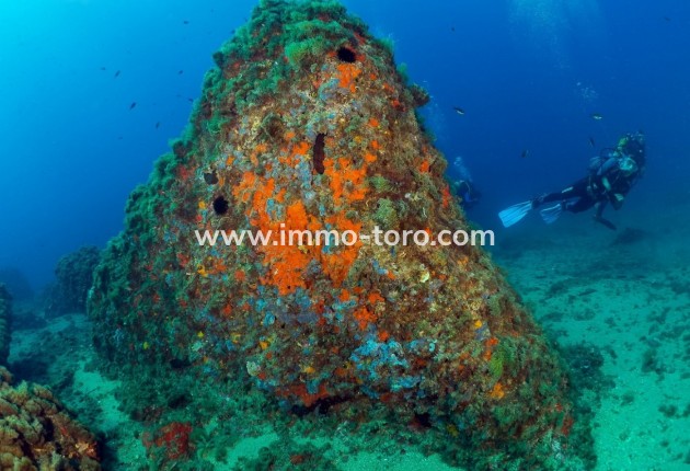 New Build - Apartment - Aguilas - Isla Del Fraile