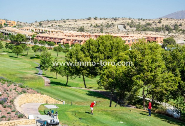 New Build - Penthouse - Monforte del Cid - Alenda Golf