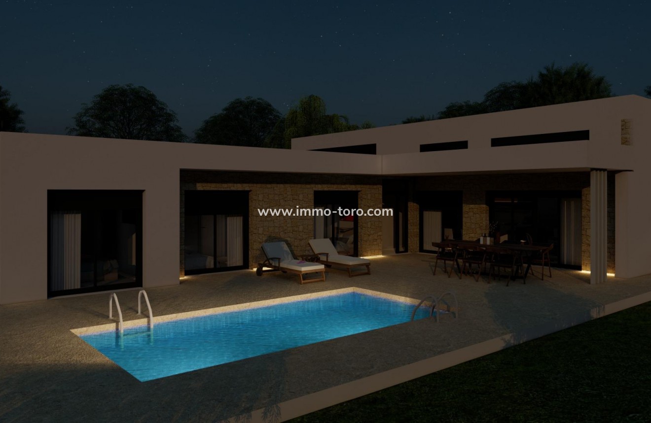 New Build - Villa - Pinoso - Campo