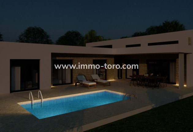 New Build - Villa - Pinoso - Campo