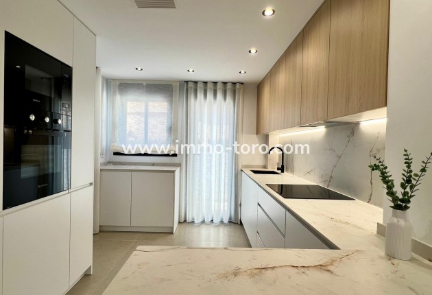 New Build - Detached house / Townhouse - Benferri - Benfis Park