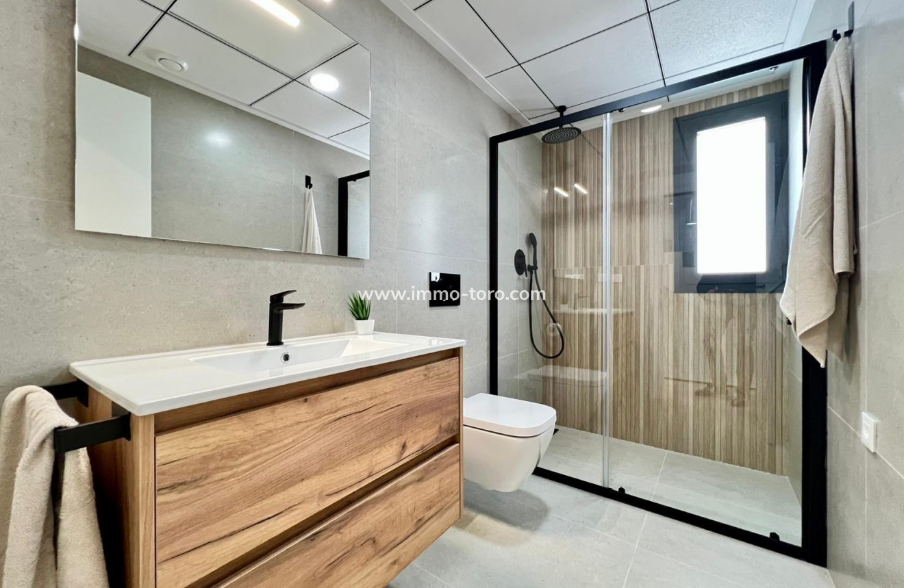 New Build - Detached house / Townhouse - Benferri - Benfis Park