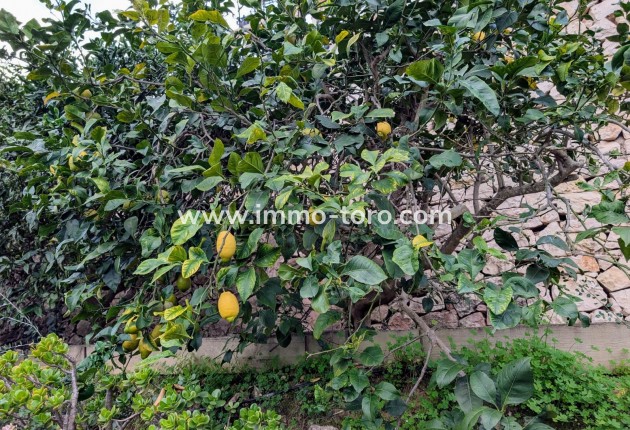 Resale - Villa - Benissa - Fanadix