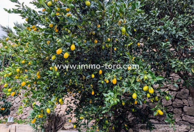 Resale - Villa - Benissa - Fanadix