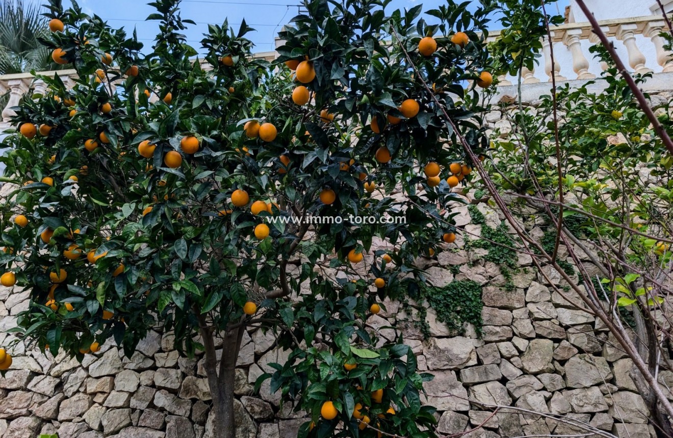 Resale - Villa - Benissa - Fanadix