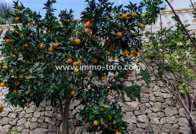 Resale - Villa - Benissa - Fanadix