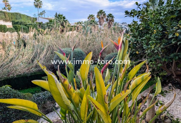 Resale - Villa - Benissa - Fanadix