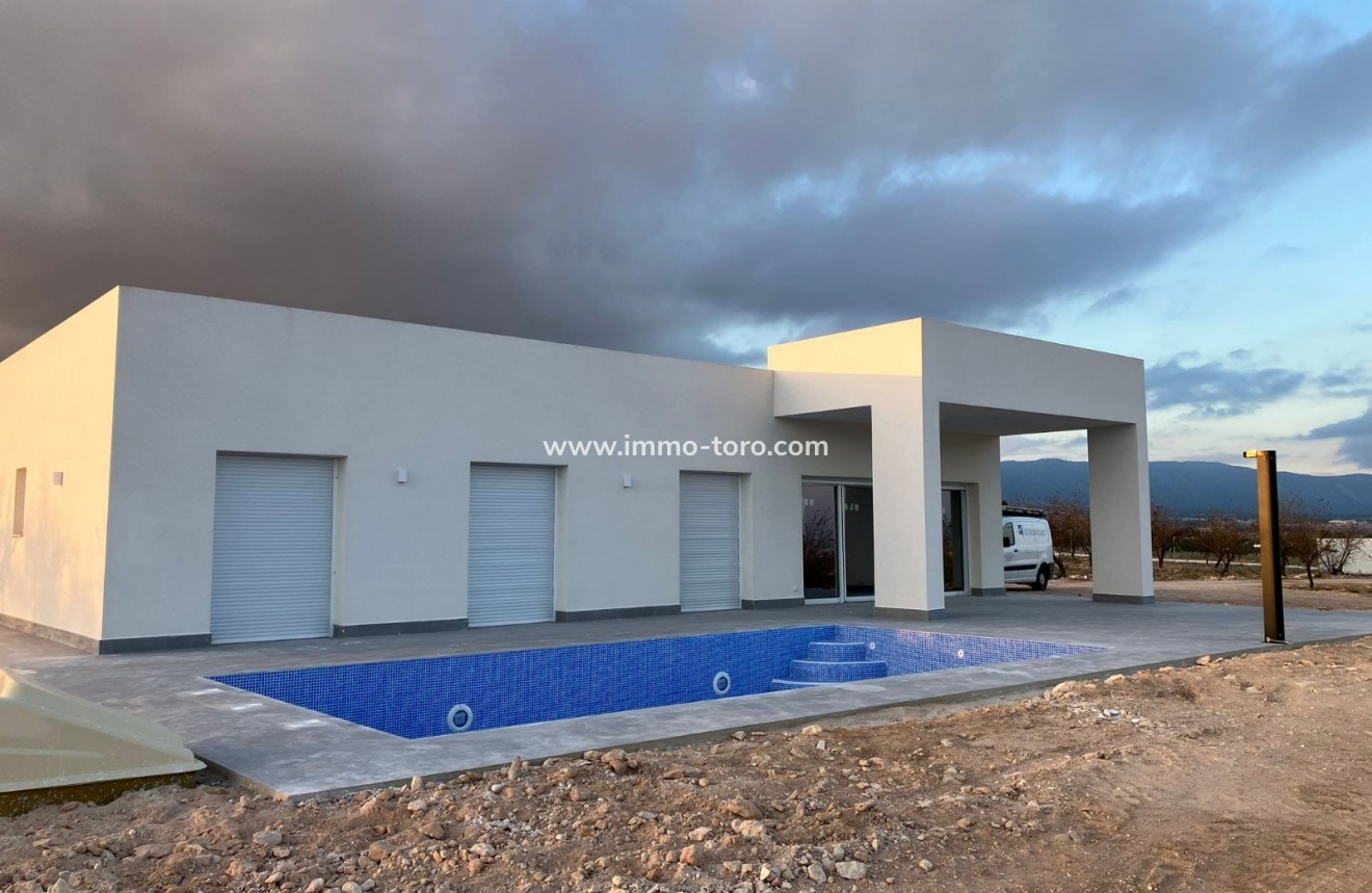 Nieuwbouw - Villa - Pinoso