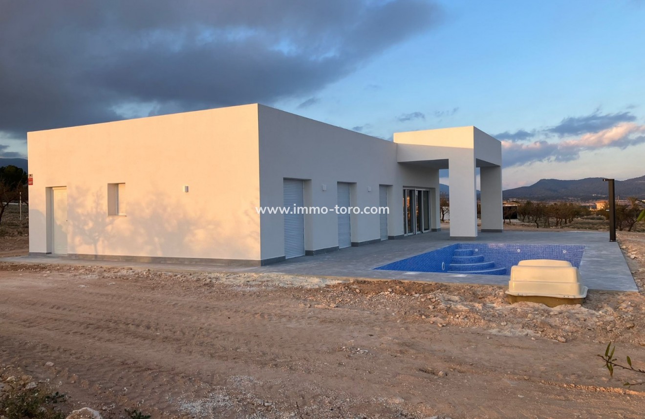 Nieuwbouw - Villa - Pinoso