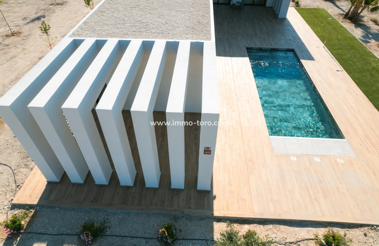 Nueva construcción  - Villa / Chalet - Pinoso