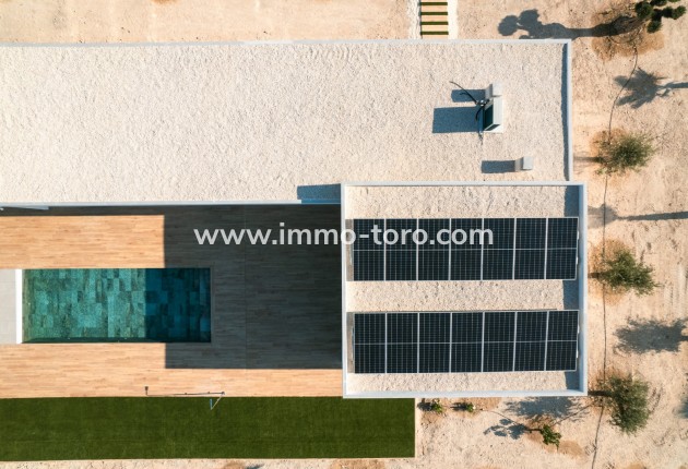 Nueva construcción  - Villa / Chalet - Pinoso