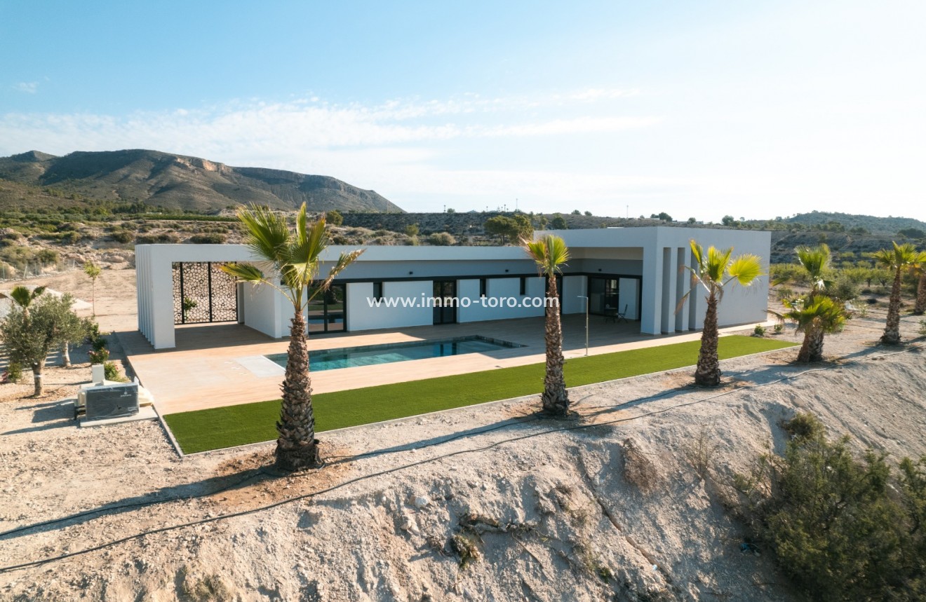 Nueva construcción  - Villa / Chalet - Pinoso