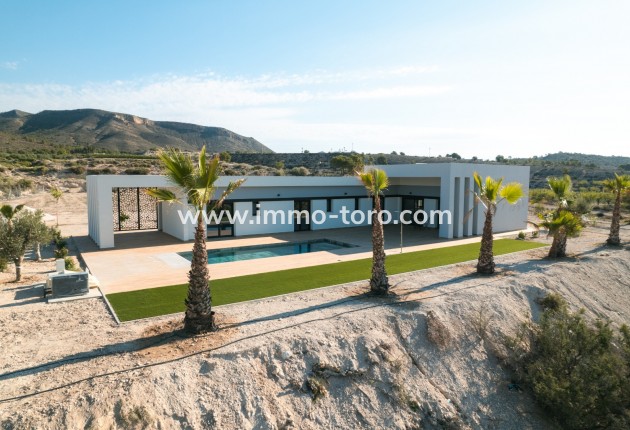 Nueva construcción  - Villa / Chalet - Pinoso