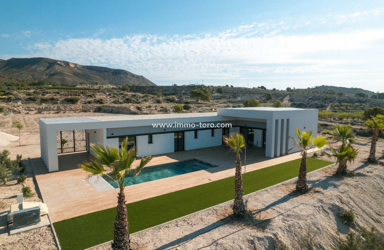 Nueva construcción  - Villa / Chalet - Pinoso