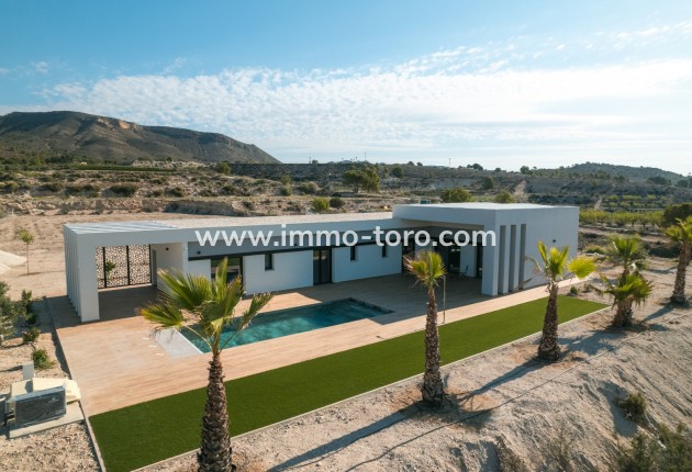 Nueva construcción  - Villa / Chalet - Pinoso