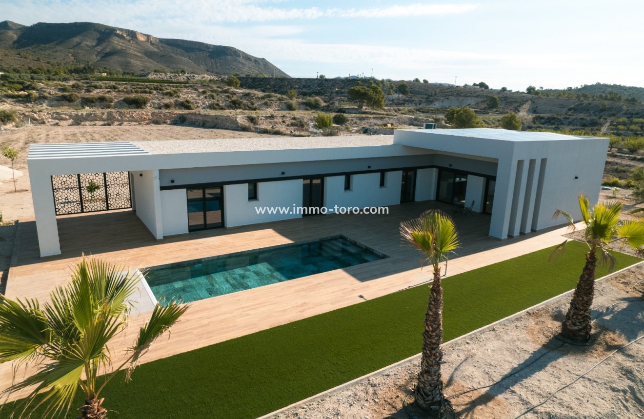 Nueva construcción  - Villa / Chalet - Pinoso