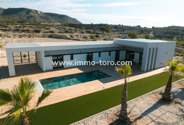 Nueva construcción  - Villa / Chalet - Pinoso