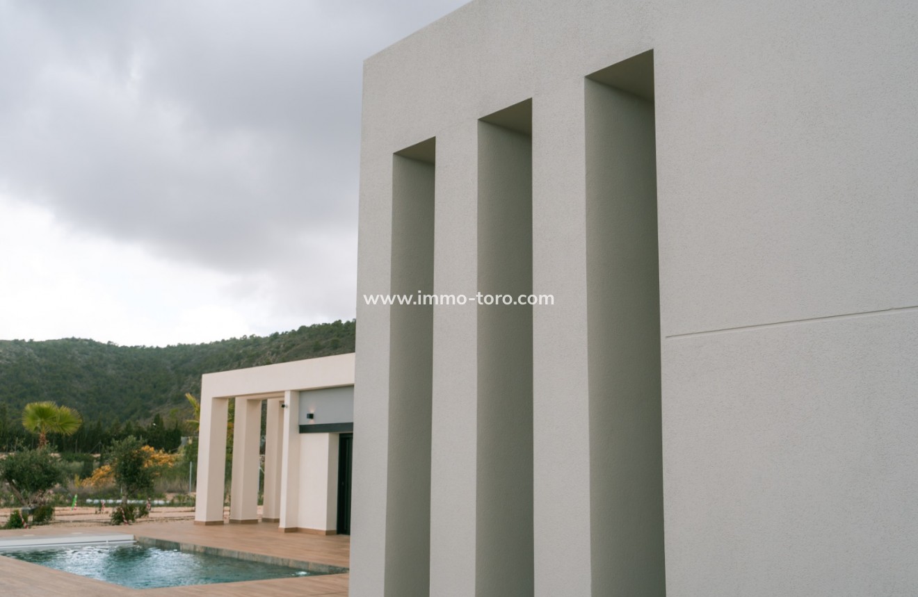 Nueva construcción  - Villa / Chalet - Pinoso