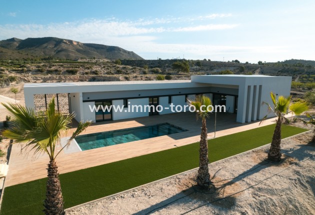 Nueva construcción  - Villa / Chalet - Pinoso