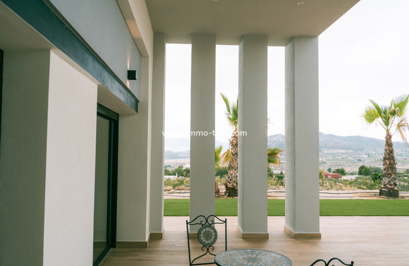 Nueva construcción  - Villa / Chalet - Pinoso