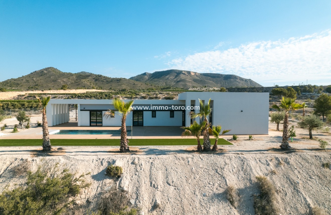 Nueva construcción  - Villa / Chalet - Pinoso