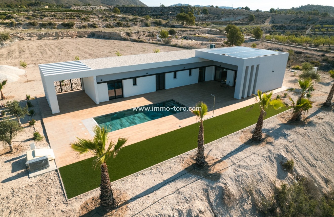 Nueva construcción  - Villa / Chalet - Pinoso