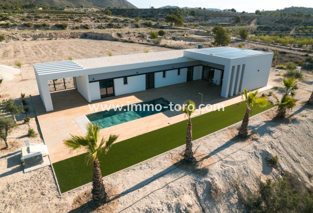 Nueva construcción  - Villa / Chalet - Pinoso