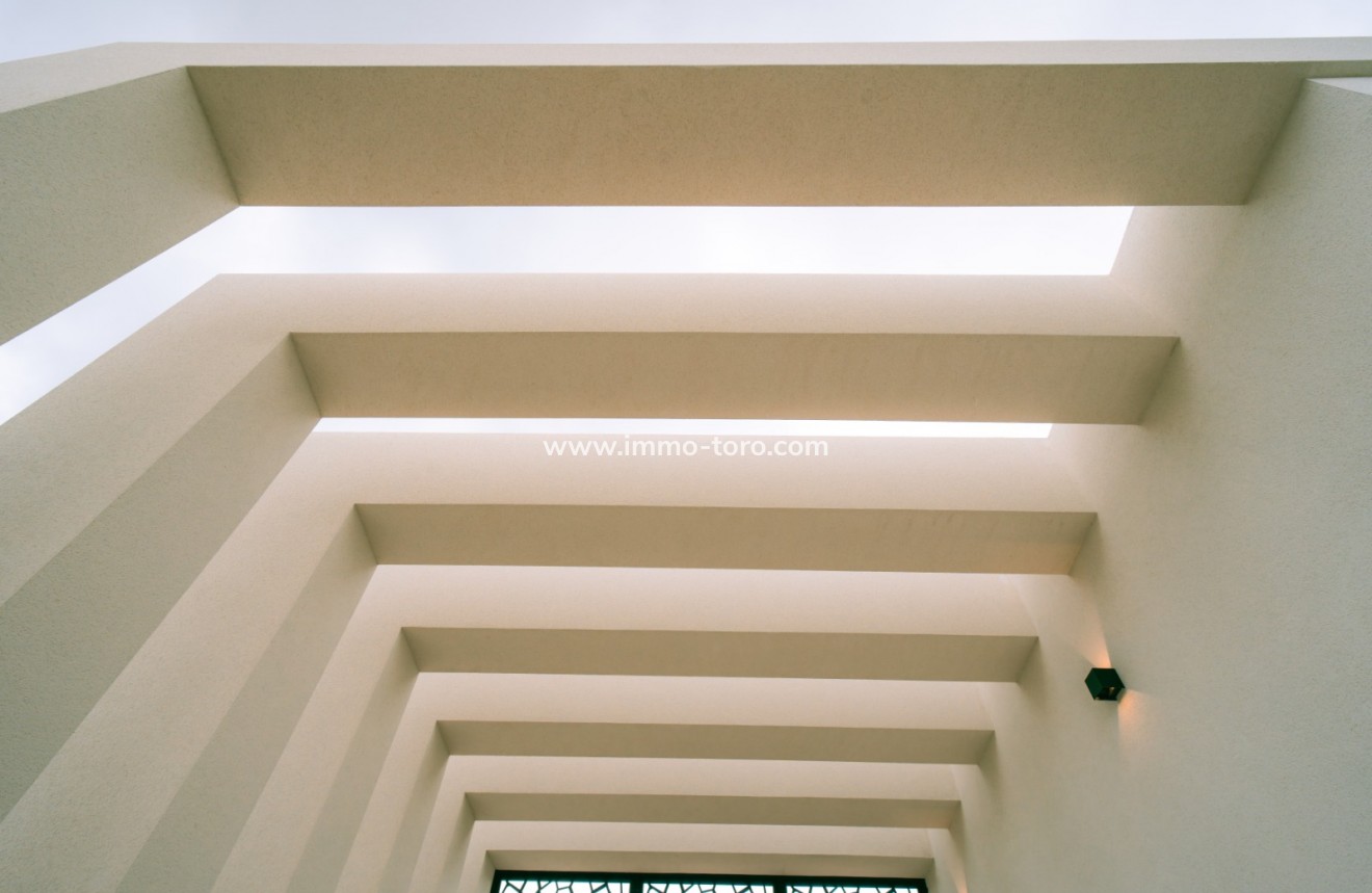 Nueva construcción  - Villa / Chalet - Pinoso