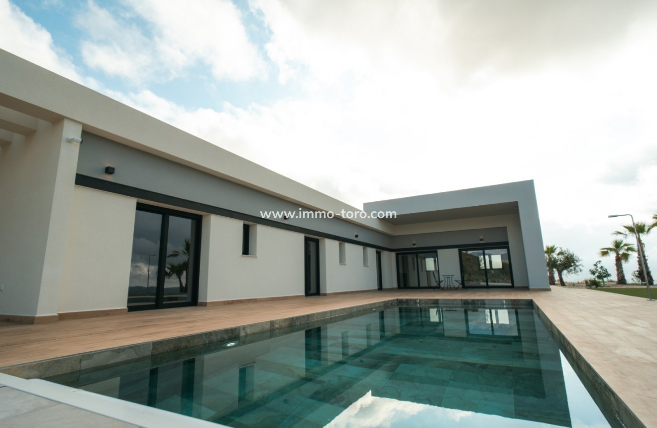 Nueva construcción  - Villa / Chalet - Pinoso