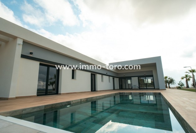 Nueva construcción  - Villa / Chalet - Pinoso