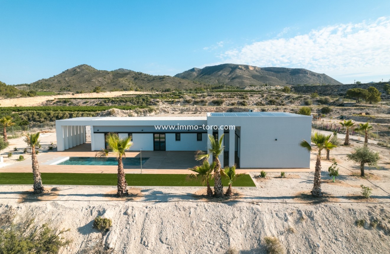 Nueva construcción  - Villa / Chalet - Pinoso