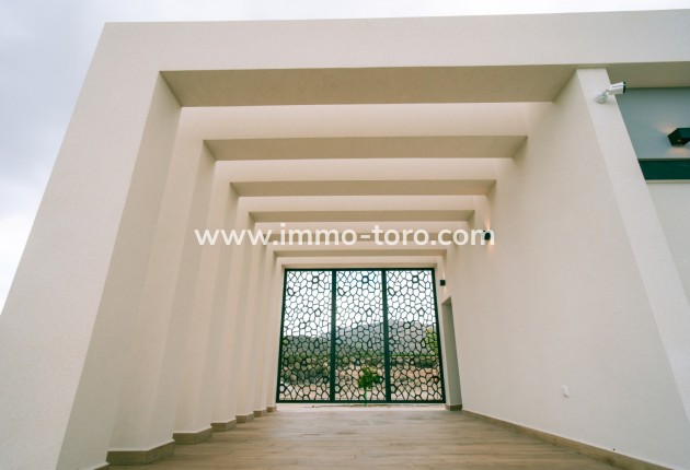 Nueva construcción  - Villa / Chalet - Pinoso