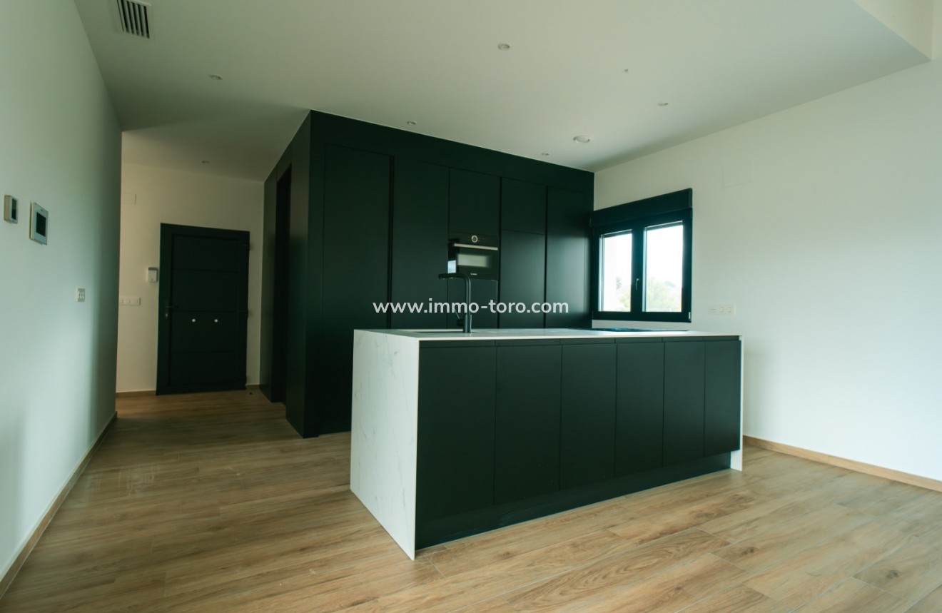 Nueva construcción  - Villa / Chalet - Pinoso