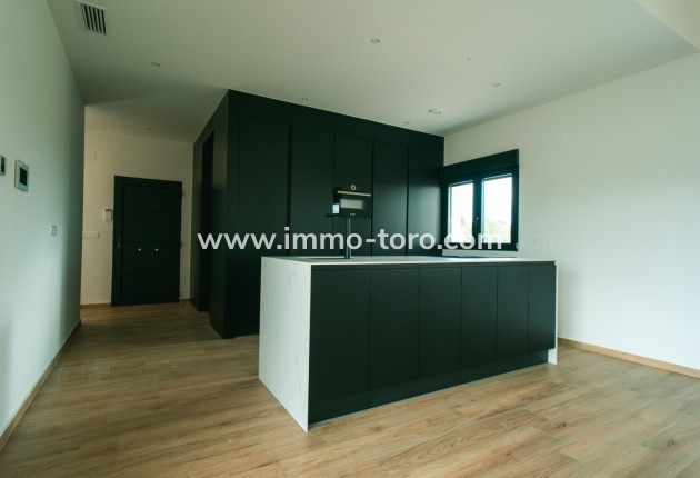 Nueva construcción  - Villa / Chalet - Pinoso