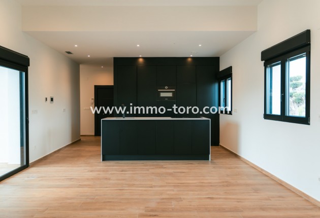 Nueva construcción  - Villa / Chalet - Pinoso