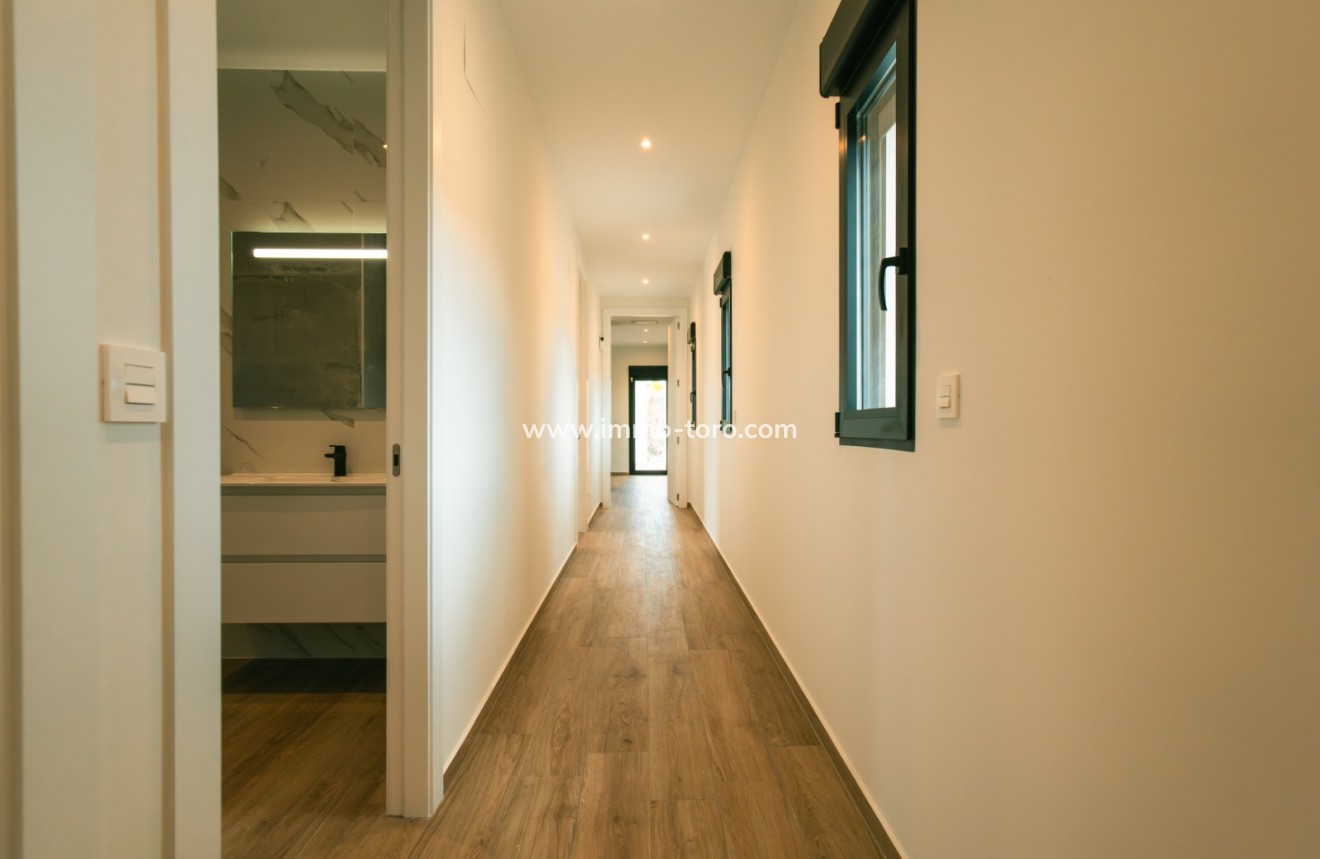 Nueva construcción  - Villa / Chalet - Pinoso