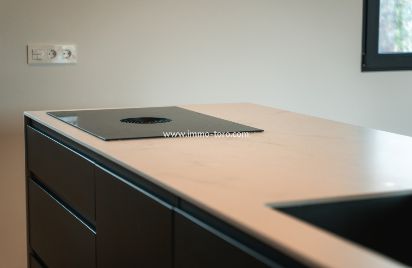 Nueva construcción  - Villa / Chalet - Pinoso