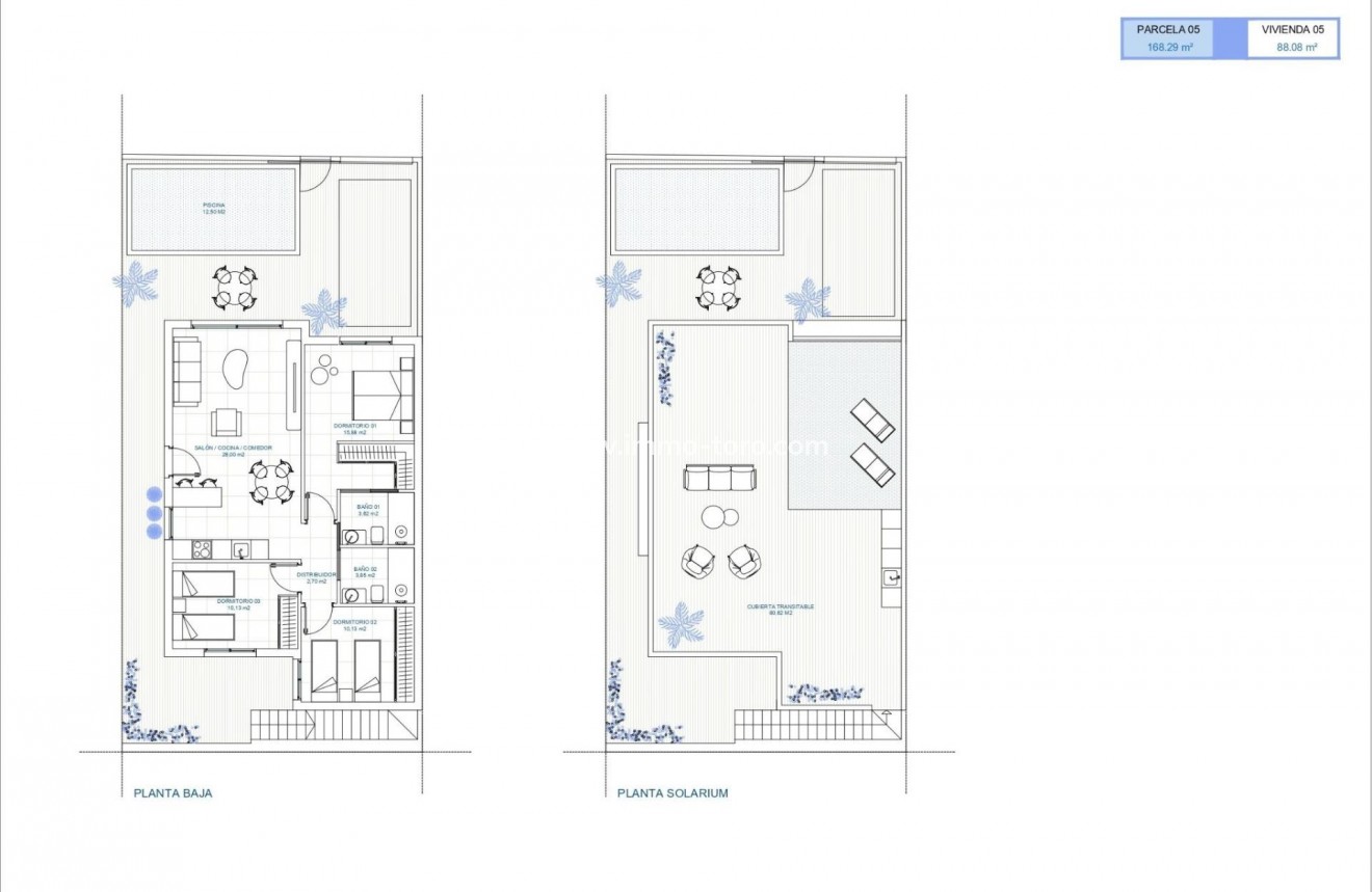 New Build - Villa - Torre Pacheco - El Jimenado