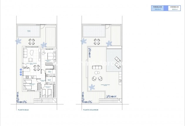 New Build - Villa - Torre Pacheco - El Jimenado