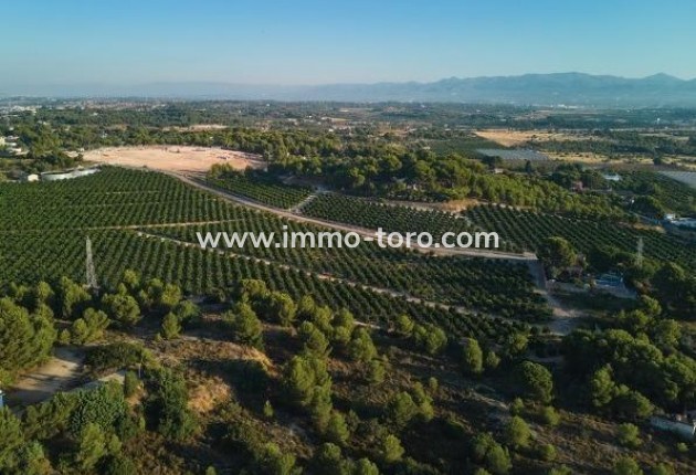 New Build - Apartment - Godella - Campolivar