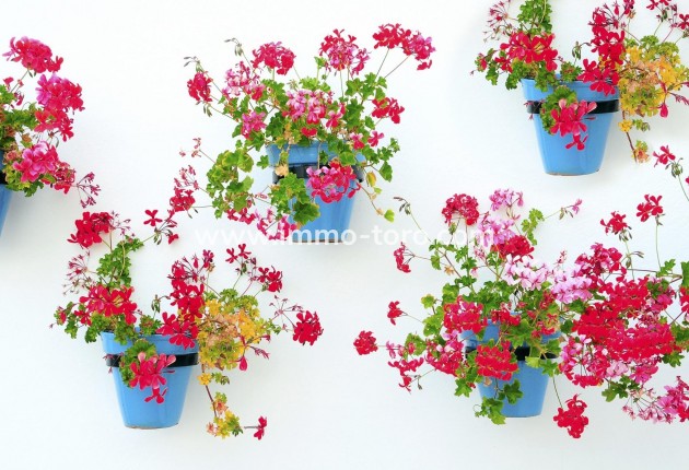 New Build - Apartment - Mijas - La Noria Golf