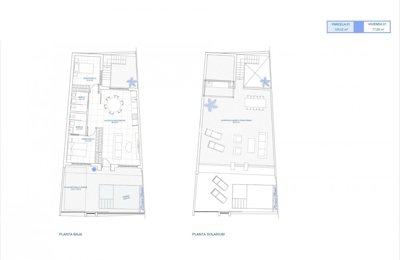 New Build - Detached house / Townhouse - Torre Pacheco - El Alba