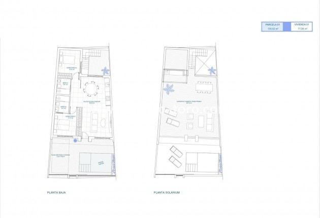 New Build - Detached house / Townhouse - Torre Pacheco - El Alba
