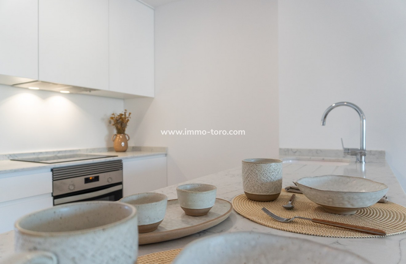 New Build - Penthouse - Playa Flamenca