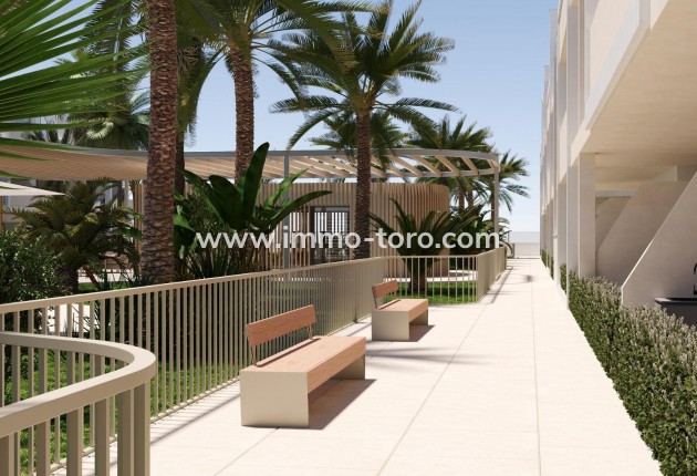 New Build - Penthouse - Torre Pacheco - San Cayetano