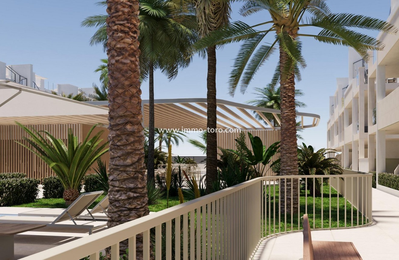 New Build - Penthouse - Torre Pacheco - San Cayetano
