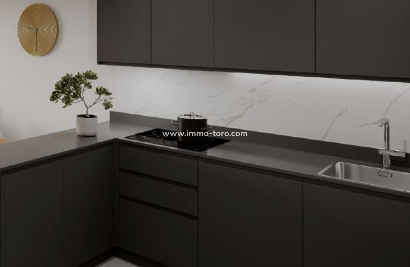 Nieuwbouw - Penthouse - Torrevieja