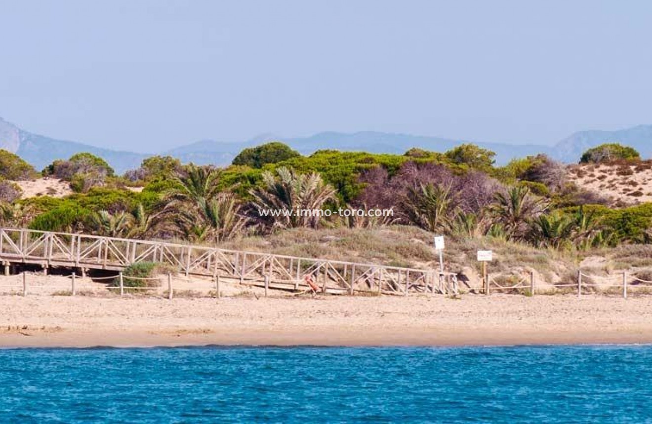 New Build - Apartment - Guardamar - Pueblo